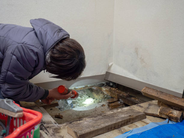 Best Dehumidification Services  in Rockwall, TX
