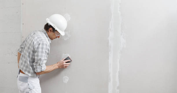 Best Post-Remediation Verification Testing  in Rockwall, TX
