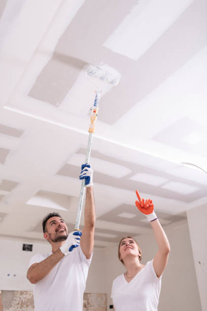 Best Basement Mold Removal  in Rockwall, TX