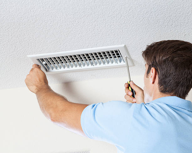 Best Attic Mold Removal  in Rockwall, TX