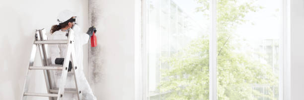  Rockwall, TX Mold Removal Pros